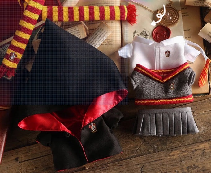 ✨ Harry Potter Labubu Outfits for Boys and Girls ✨